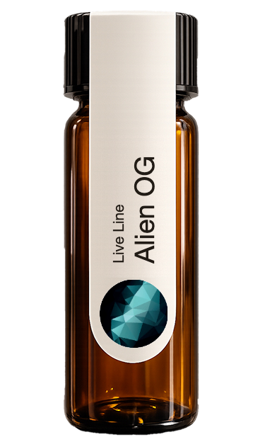 Alien OG 4ml vial rendering