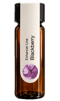 Blackberry 4ml