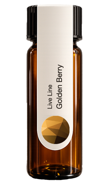 Golden Berry